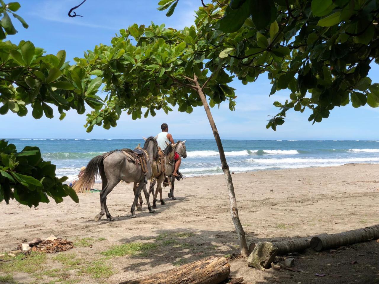 Sámara Macao Beach מראה חיצוני תמונה